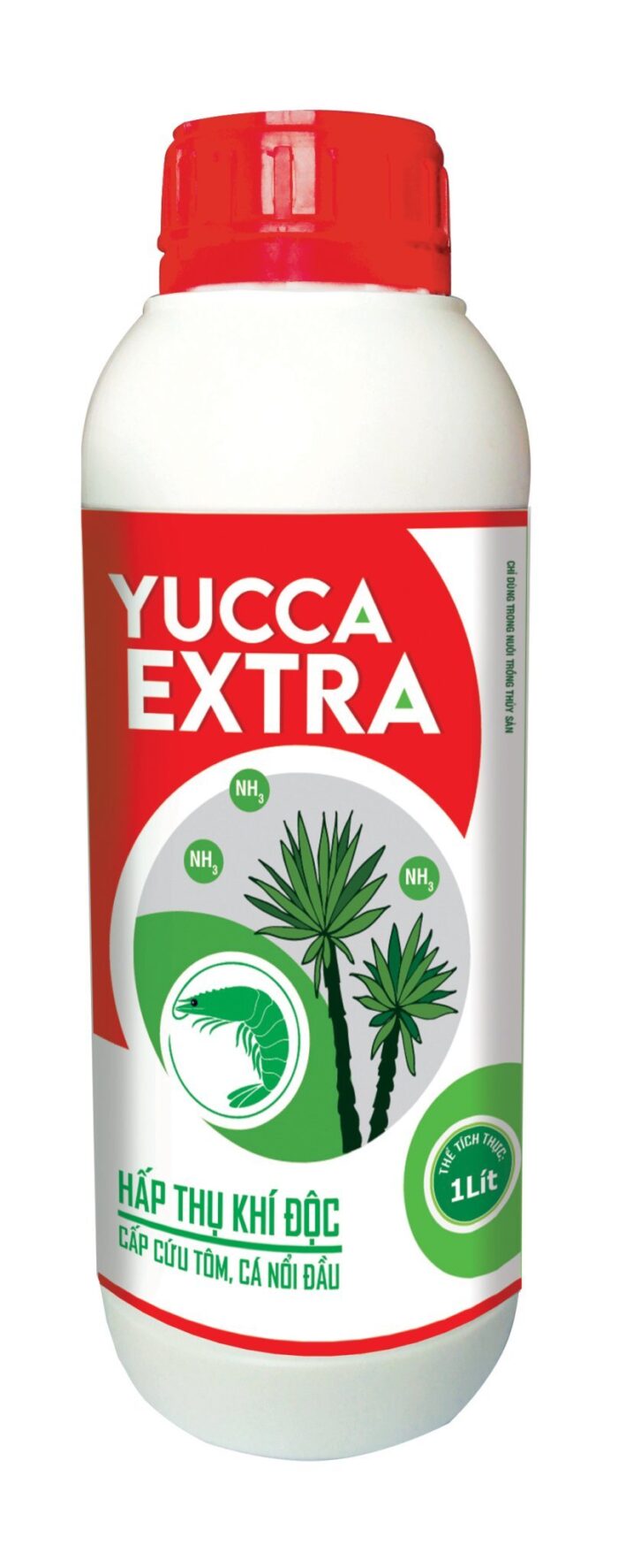 YUCCA