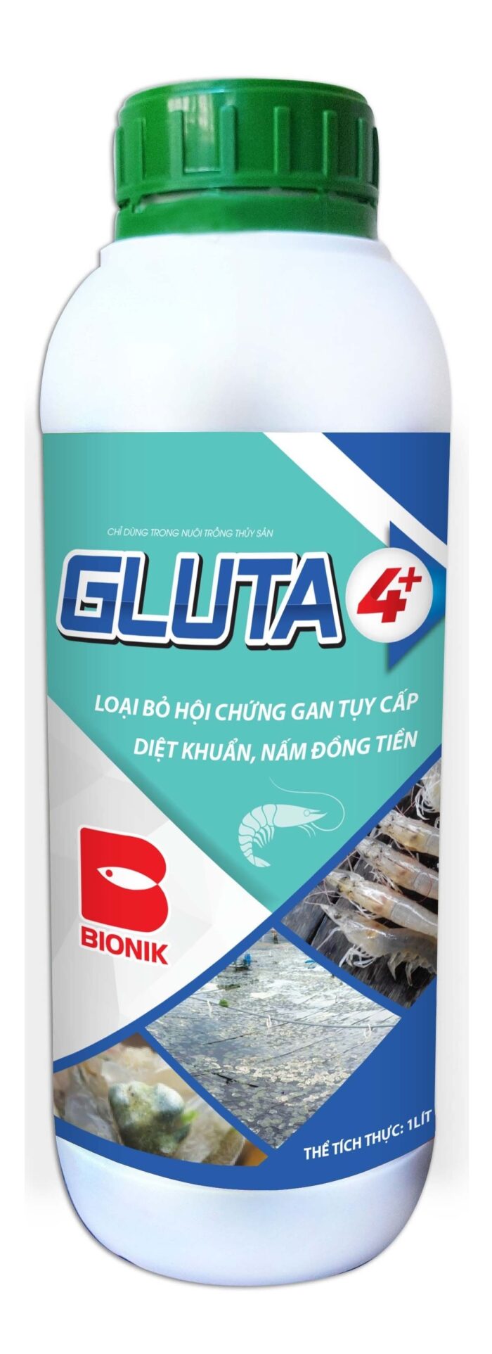 GLUTA 4+